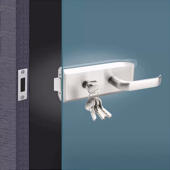 Broască ușă sticlă, Y02, pentru ușă batantă cu închidere în toc, inox