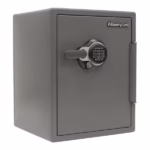 Seif Antifoc Rottner Firebird Închidere Electronică Negru