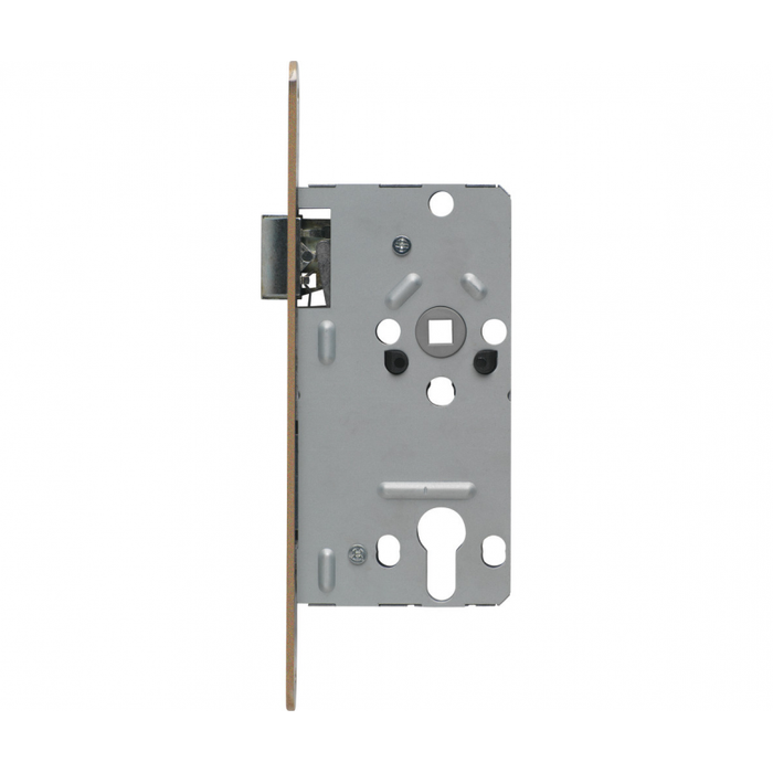 Broască (yală) îngropată ușă interior Abus ES PZ2 55/72/20 L G, pentru butuc, 55x72 mm, stânga, zincat, auriu - imagine 2